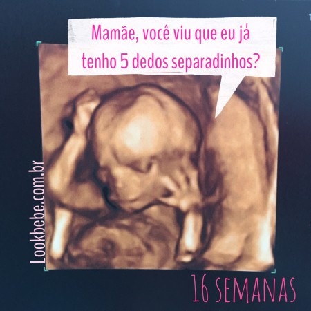 16 semanas e a consulta com a “médica humanizada”