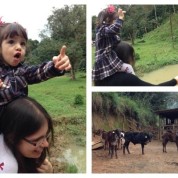 O dia em que a Bru conheceu a bananeira