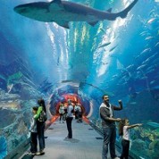 Férias de verão em família em… DUBAI