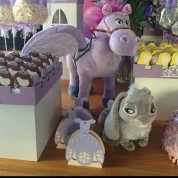Festa de aniversário tema Princesa Sofia