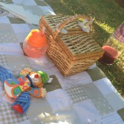 Verão, piquenique e salada de frutas! Tudo a ver!