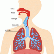 A Higiene Nasal na prevenção de doenças respiratórias