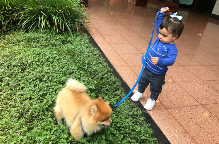 1 ano e 4 meses de Alice – Como anda seu desenvolvimento
