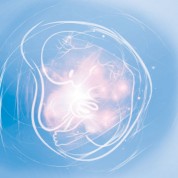 Workshop: Renascer para dar a luz