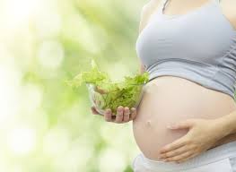 Alimentação e Saúde na Gestação!!!