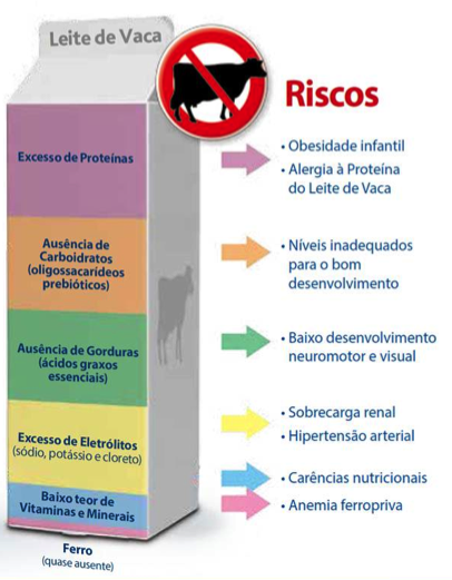 leite de vaca carencias e excessos