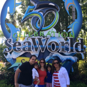 Conheça o Sea World sem os shows com animais treinados